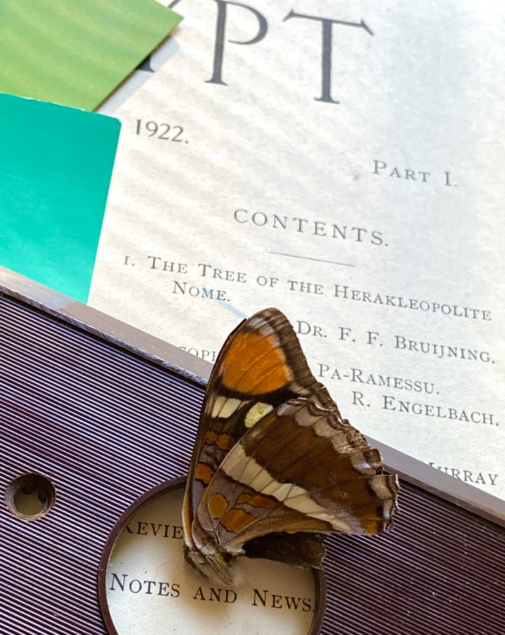 LaurieMuirOldNewsofNote